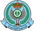رئاسة أمن الدولة